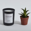 bougie-plante-gaspard